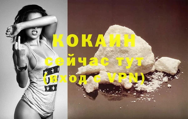 сатива Белокуриха