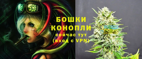 сатива Белокуриха