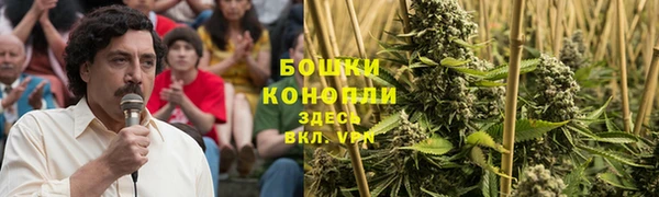 сатива Белокуриха