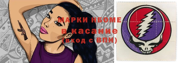 сатива Белокуриха